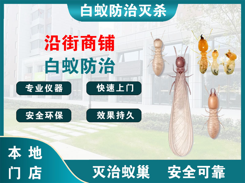 高淳沿街商铺白蚁防治