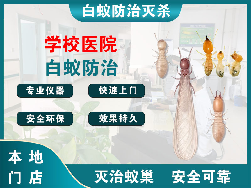 高淳学校医院白蚁防治