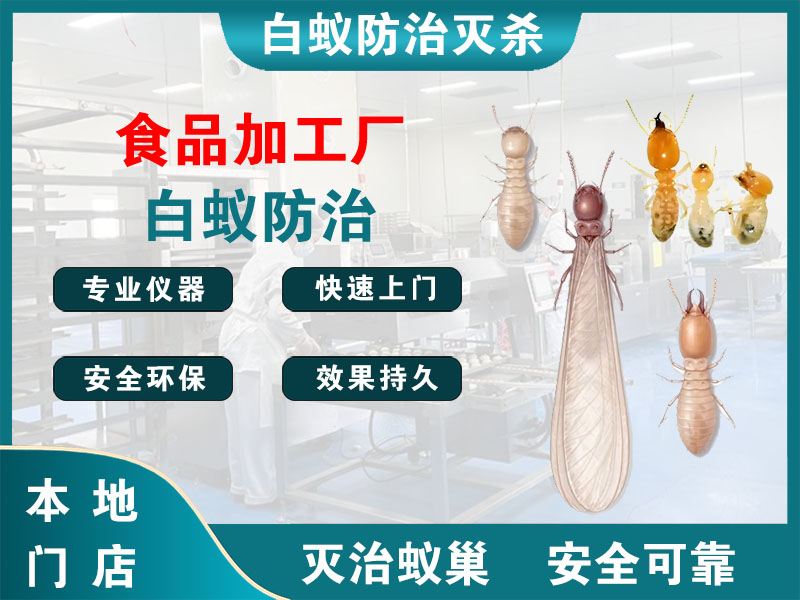 高淳食品加工厂白蚁防治