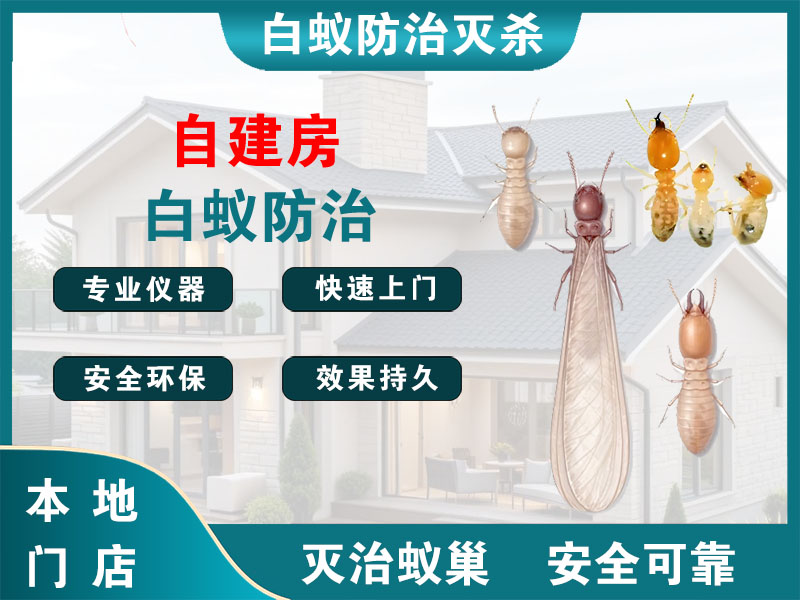 高淳自建房白蚁防治