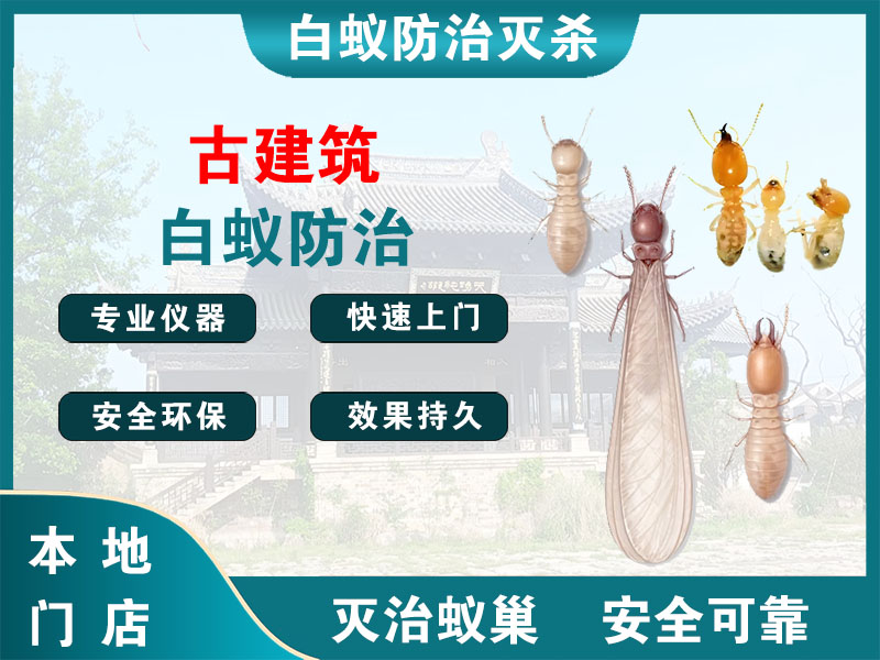高淳古建筑白蚁防治