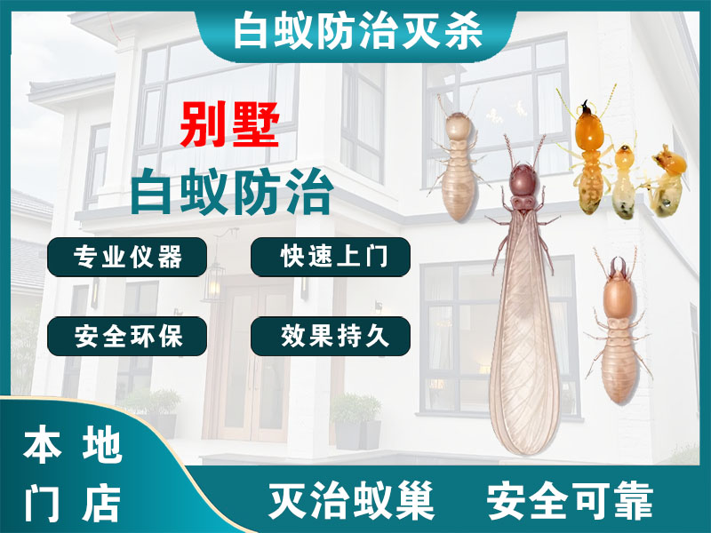 高淳别墅白蚁防治