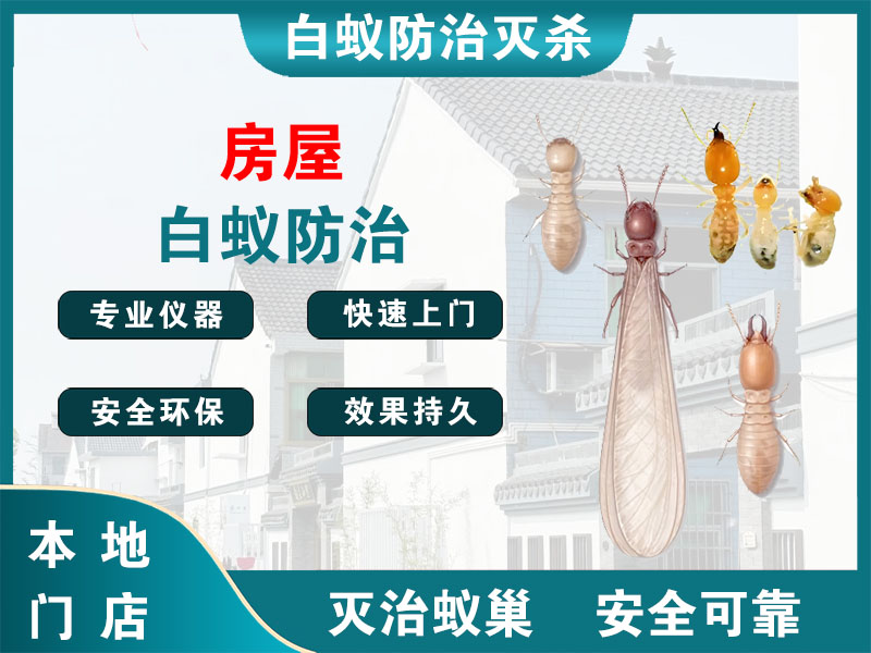 高淳房屋白蚁防治